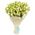 Delicate bouquet of white eustoma