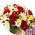Original bouquet in box