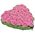 Heart of pink roses