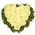 Heart-shaped flowers