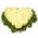 Astonishing flowers in the form of heart