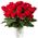 25 imported red roses