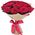 15 red roses