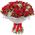 Bouquet of red roses bush with gypsophila