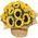 Bouquet of sunflowers
