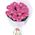 19 pink roses