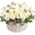 Basket of white roses with verdure