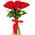 Red roses on a long leg