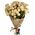 Large bush roses
