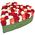 Multicolored roses in the shape of a heart