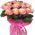 19 roses Miss Piggy