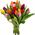Spring flowers tulips