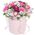 Live flowers in a box