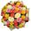 Bouquet of 51 roses 60 cm - view 1
