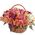 Basket of 25 Alstroemeria