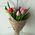 11 tulips - view 1