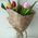 11 tulips - view 2