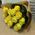 15 yellow roses - view 2