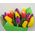 21 tulip - view 5