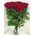 27 red roses - wiev 3