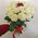 White roses and one red rose - wiev 1
