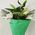 Bouquet 1 lily - view 4