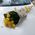 Bouquet of 11 yellow roses - view 2