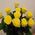 Bouquet of 11 yellow roses - view 4