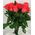Bouquet 15 coral roses - view 3