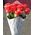 Bouquet 15 coral roses - view 4
