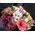 Bouquet of flowers for a girl on her birthday - view 2