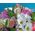 Bouquet of flowers for a girl on her birthday - view 3