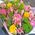 Bouquet for woman 45 years old - view 5
