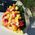 Bouquet of 101 multi-colored roses - view 1