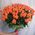 Bouquet of 101 roses of orange color - - view 5