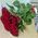 Bouquet of 11 roses - view 4