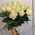 Bouquet of 17 roses - view 2