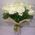 Bouquet of 17 roses - view 5