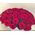 Bouquet of 25 red roses - wiev 2