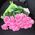 Bouquet of 25 pink roses - wiev 1
