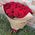 Bouquet of 47 red roses - view 4