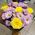 Bouquet of fresh flowers - view 3