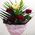 Bouquet to the beloved wife - view 1