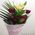Bouquet to the beloved wife - view 2