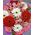 Bouquet for woman's birthday - view 1