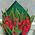Fine bouquet with tulips - view 3