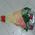 Flowers for a friend - view 2