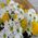 Cool bouquet - view 3