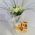 Corporate bouquet - view 1