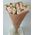 Cream roses on a short leg - wiev 3